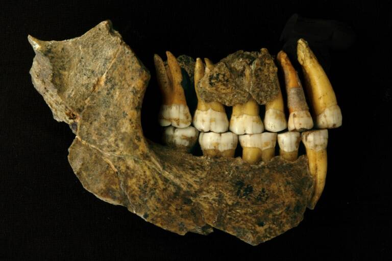 Science - archaeology - anthropology - Europe