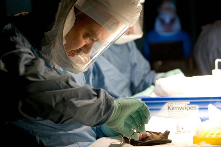 OMS,Guinea,epidemia,virus,salud