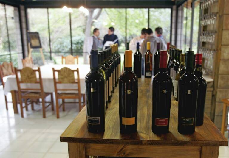 Uruguay,Argentina,vinicultura,bebidas,bodegas,turismo