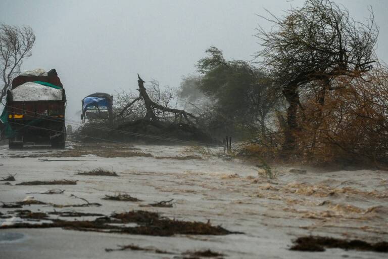 India - weather - cyclone - health - virus