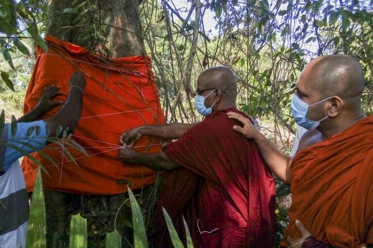 SriLanka,environnement,religion,botanique,transport,route