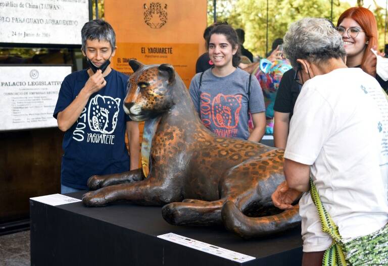 Paraguay,animales,ecología,medioambiente