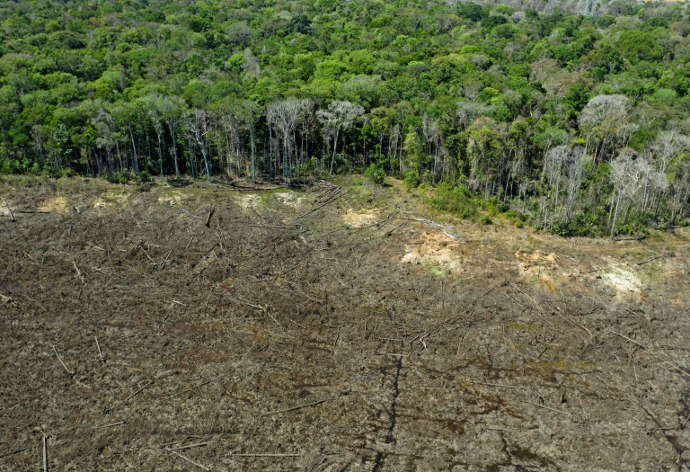 Brasil - medioambiente - poltica - Amazona