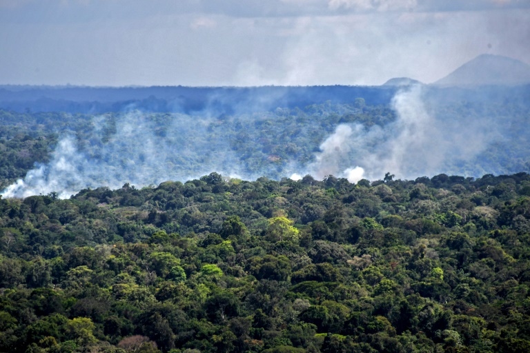 clima - medioambiente - Brasil - bosques