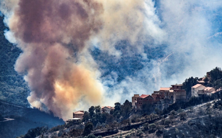 Algérie - incendie - environnement - climat