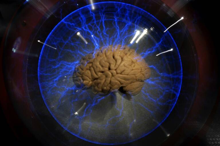 derechos,justicia,ciencia,Chile,neuroderechos