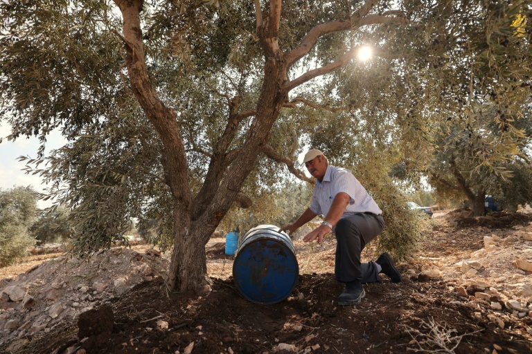 Palestiniens - Isral - conflit - agriculture - climat - scheresse