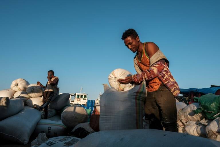 materias - primas - clima - ganadería - agricultura - cereales - alimentación - Latam