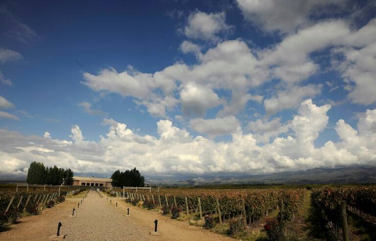 Argentina - agricultura - tecnología