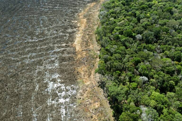 Brasil - medioambiente - poltica