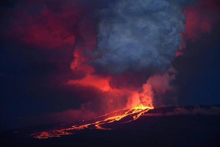 Ecuador - Galápagos - animales - medioambiente
