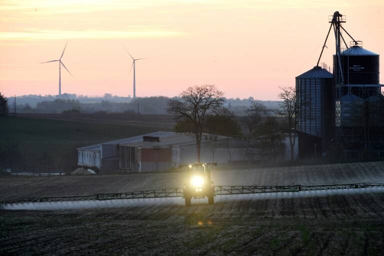 ONU,COP26,clima,medioambiente,animales,preservacin,agricultura,alimentacin