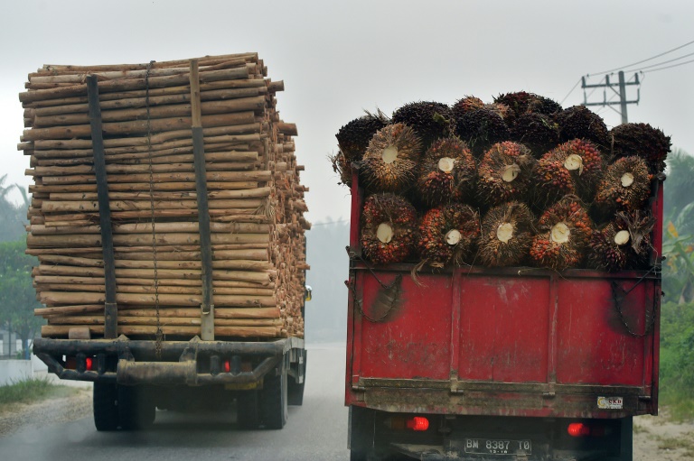 UE - clima - ambiente - comercio - incendio - bosques - importaciones