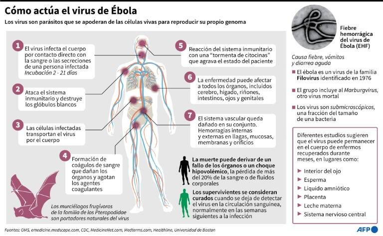 noticia