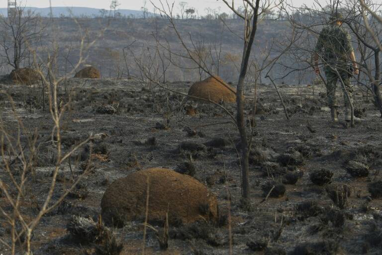 Brasil - incendio - medioambiente