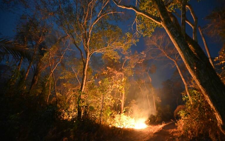 naturaleza - medioambiente - incendio - Bolivia