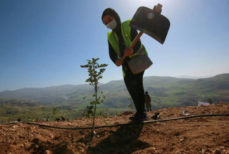 Jordanie,environnement,forêts,climat