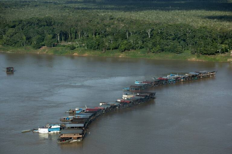 medioambiente,Brasil,minería,crimen,Amazonía