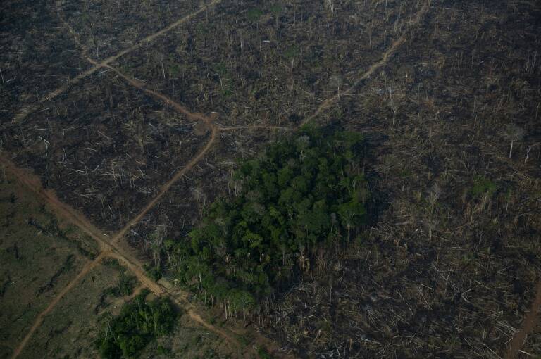Brasil - medioambiente - gobierno - clima