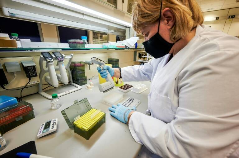 Islandia,genética,OMS,epidemia,virus,salud