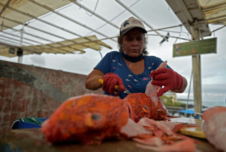 Ecuador - Galpagos - pesca - sociedad - agricultura - mujeres