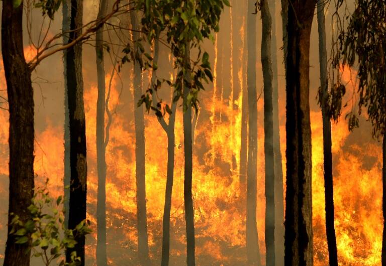 Cuba - medioambiente - incendio