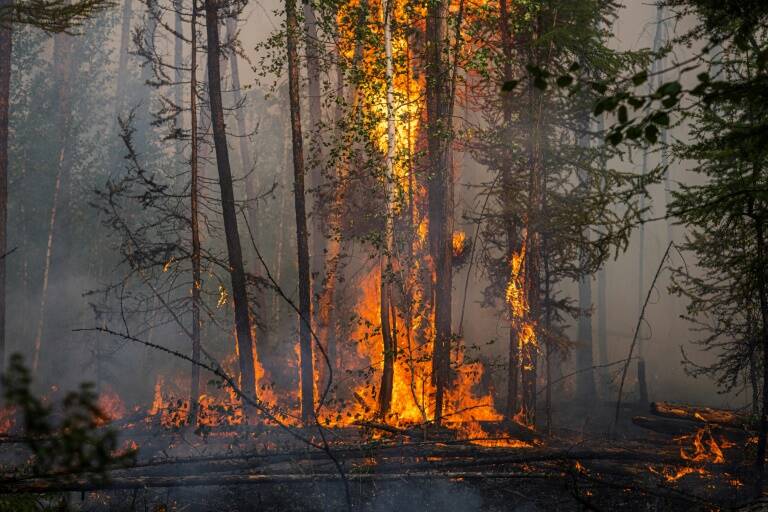 Russie - environnement - incendie - climat