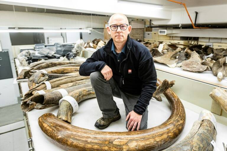 USA - sciences - histoire - archéologie - animaux