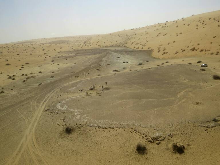 paléontologie - archéologie - Arabie