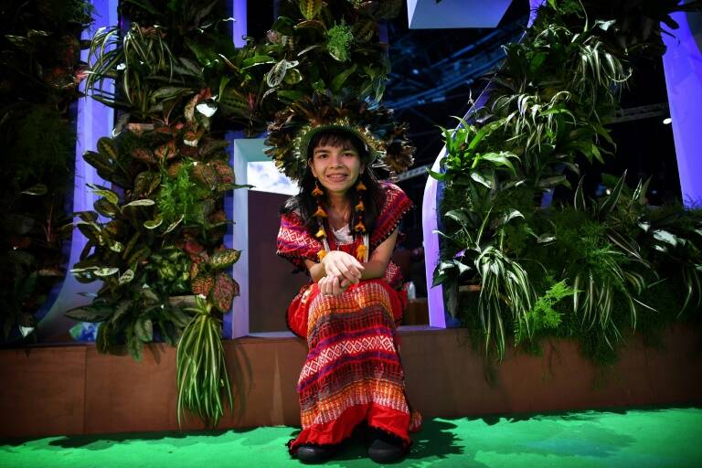 medioambiente,clima,COP26,ONU,Brasil