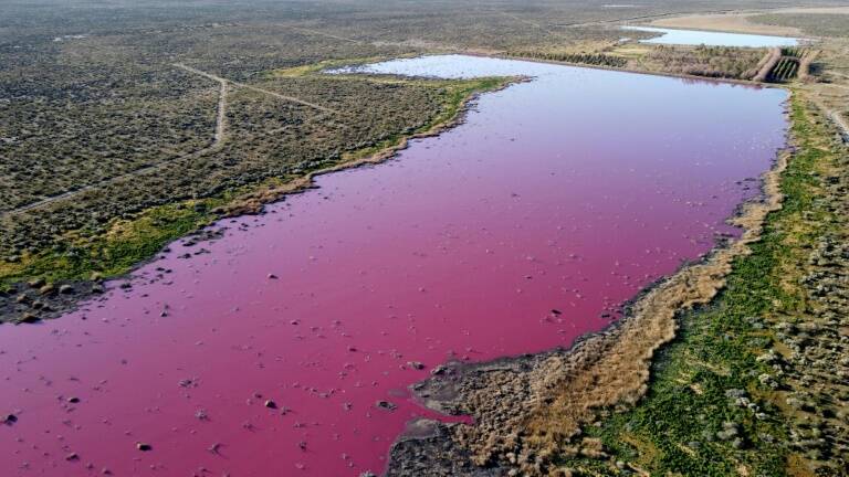 Argentina - medioambiente - contaminación - pesca