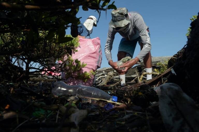 Ecuador,Galápagos,medioambiente,ciencias,ecosistema,animales
