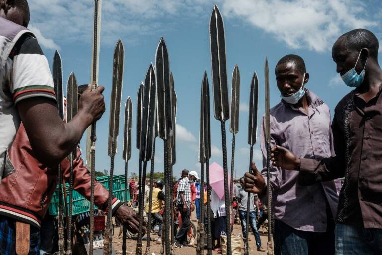 Kenia - animales - medioambiente - preservación - agricultura - alimentación