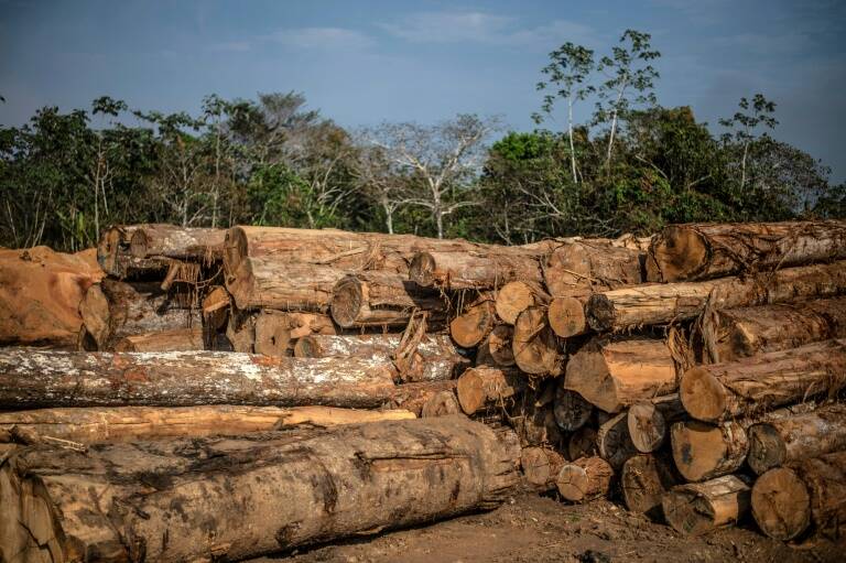 Climate - Amazon - Peru - deforestation