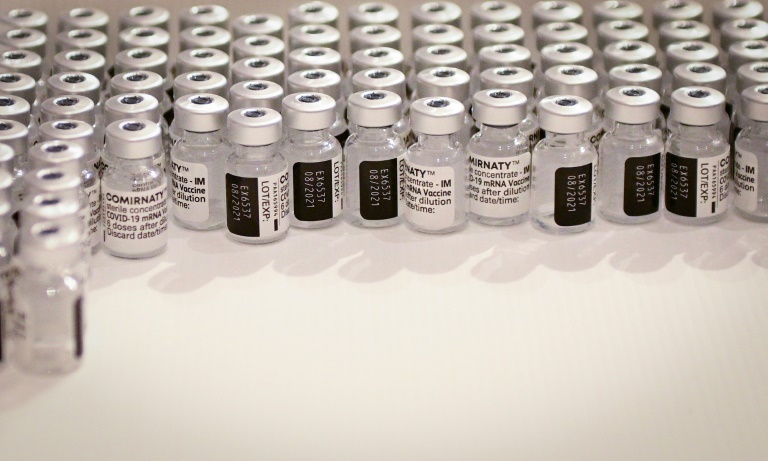 Alemania - pandemia - vacunas - salud - virus - epidemia