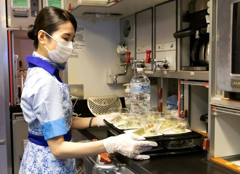 pandemia - insólito - Japon - aviación - virus