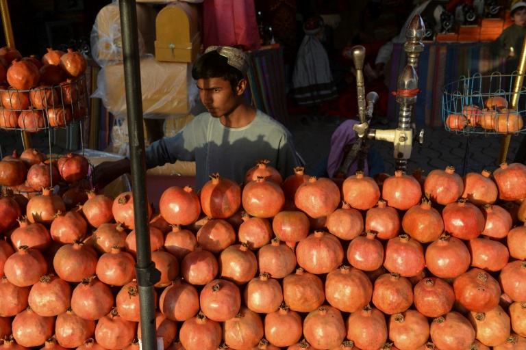 Afghanistan,Pakistan,agriculture,trade,fruit