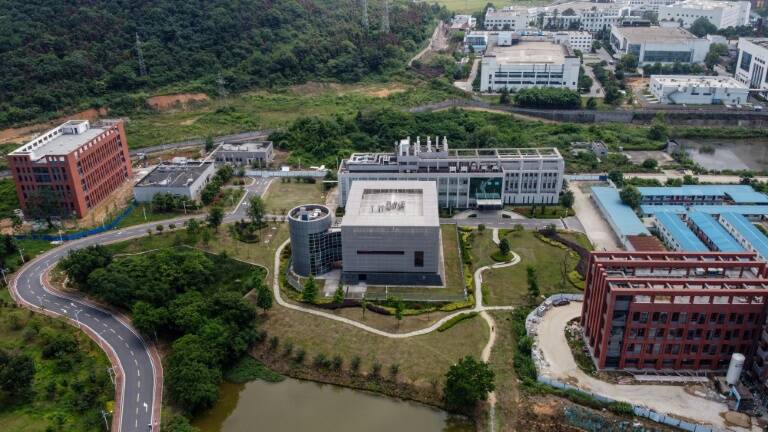 Health - virus - China - lab