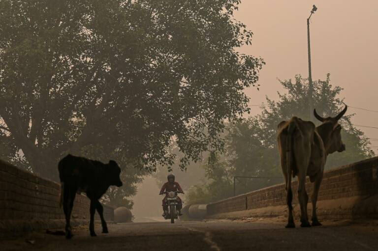 santé - pollution - religion - Inde - environnement