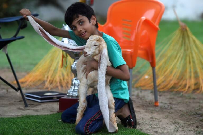 Pakistan - animaux