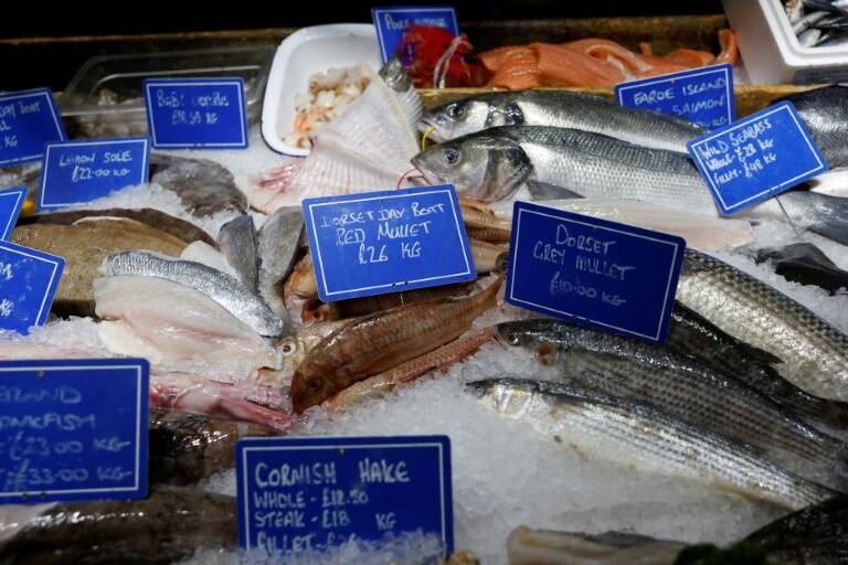 pobreza,inflación,energía,alimentos,alimentación
