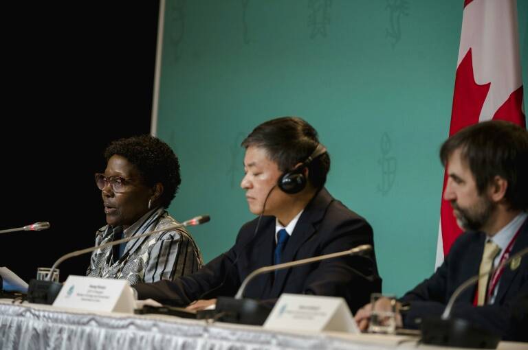 naturaleza - biodiversidad - COP15 - ONU - medioambiente