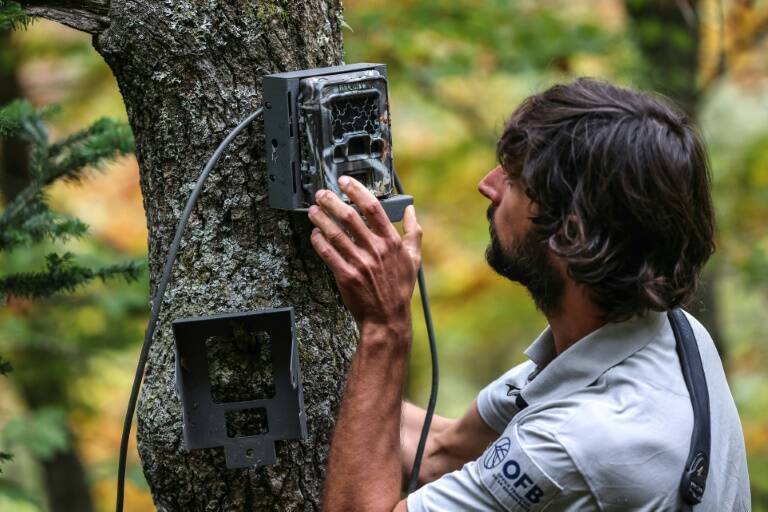 Francia - España - medioambiente - animales - ambiente - ecología