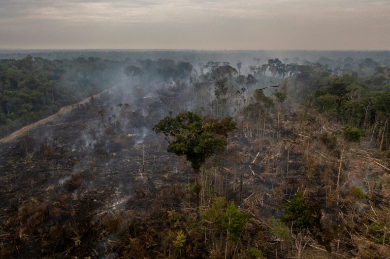 medioambiente - amazonía - Brasil - deforestación