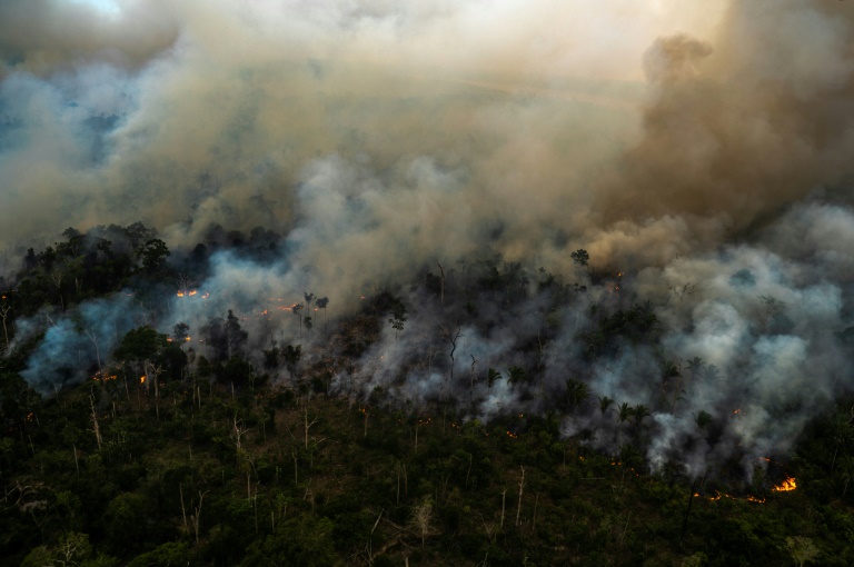 Brasil - medioambiente - bosques - deforestacin
