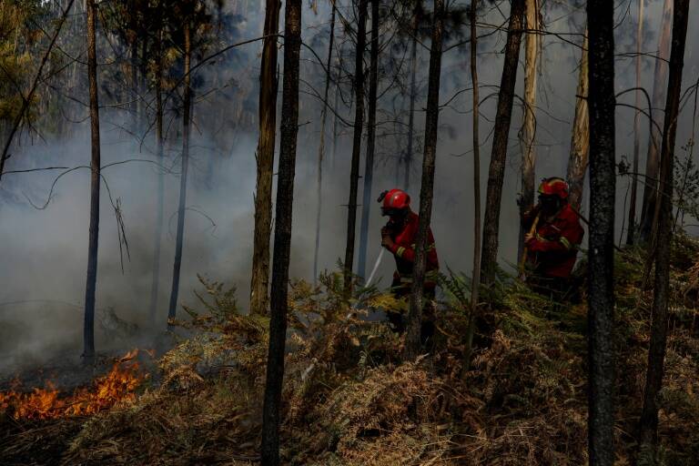 climat - environnement - agriculture - eau - forêt - France - Royaume - Uni - Espagne - Portugal - météo