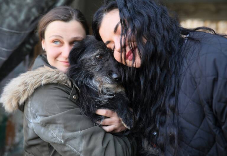 Ucrania,conflicto,animales,refugiados,Rusia