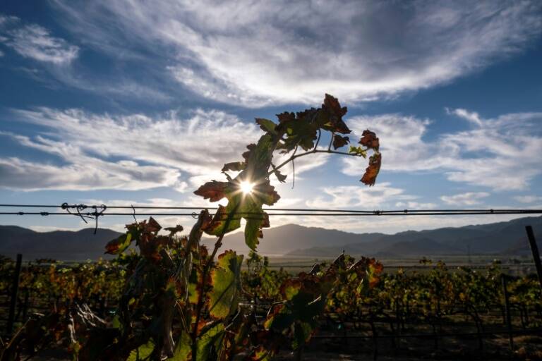 México - medioambiente - agricultura