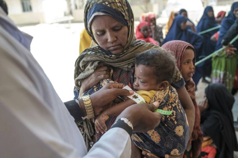 Ethiopie, sécheresse, météo, famine, enfants, ONG, agriculture, élevage