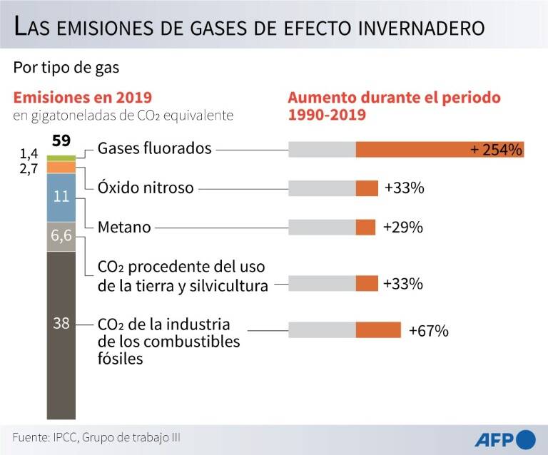 noticia